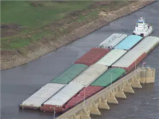 small_Img_7938.webp