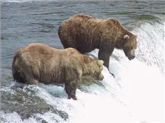 2002, Katmai National Park