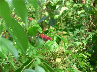 P1120181.jpg