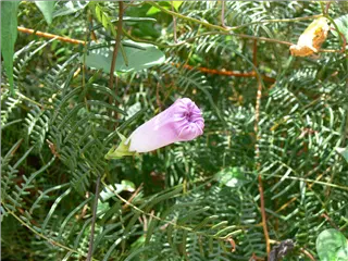 P1120182.jpg