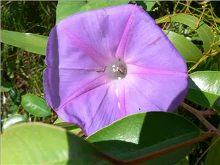 P1120201.jpg