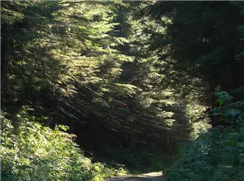 P1050638a.jpg