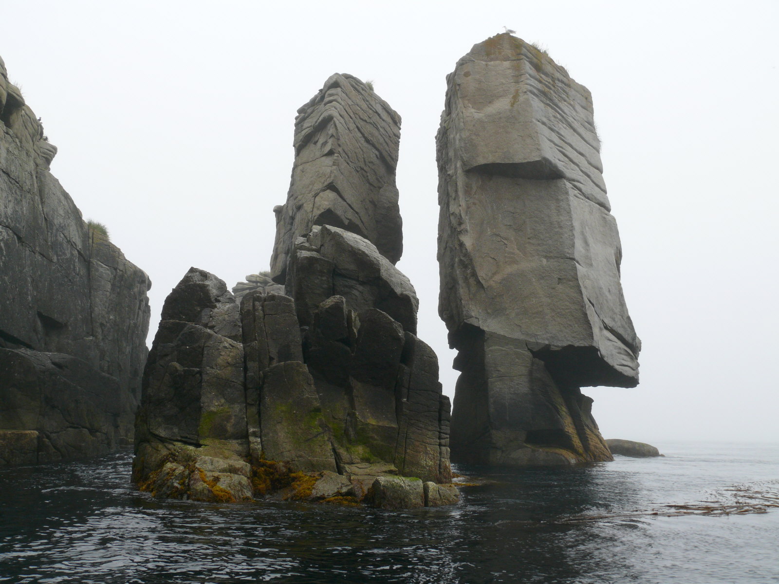 Semidi Islands, August 2008