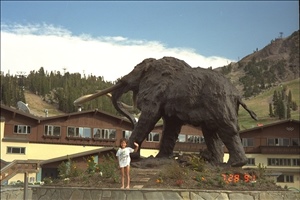 mammoth.jpg