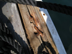 IMG_0343.jpg, 1600x1200 IMG_0343.jpg