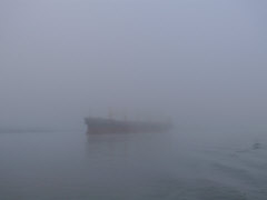 P1130298.jpg, 1600x1200 P1130298.jpg