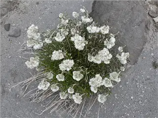 small_P1180016.webp