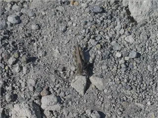 small_P1290497.webp