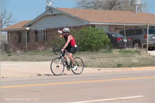 small_P1000642.webp