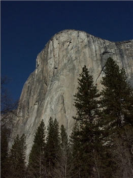 PICT1233.jpg, 1200x1600 PICT1233.jpg