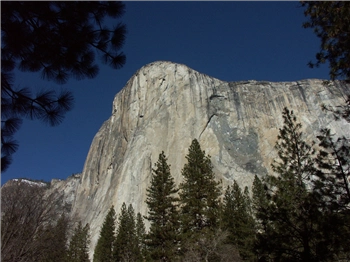 PICT1238.jpg, 1600x1200 PICT1238.jpg