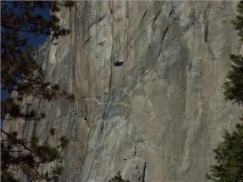 PICT1282.jpg, 1600x1200 PICT1282.jpg