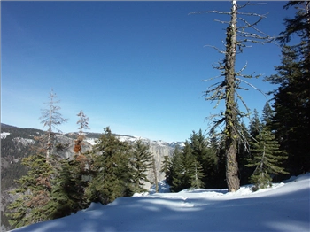 PICT1308.jpg, 1600x1200 PICT1308.jpg