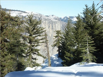 PICT1310.jpg, 1600x1200 PICT1310.jpg