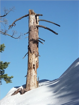 PICT1317.jpg, 1200x1600 PICT1317.jpg