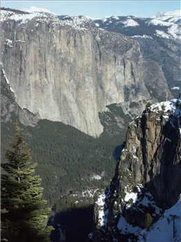 PICT1349.jpg, 1200x1600 PICT1349.jpg